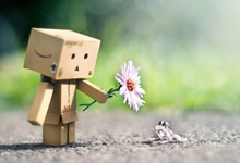 上海后花园探秘:慢节奏生活新选择
